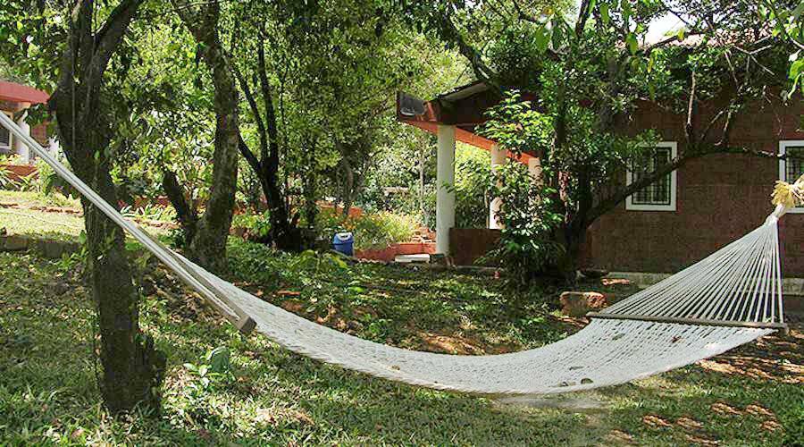 Whistling Woods, Amboli 2